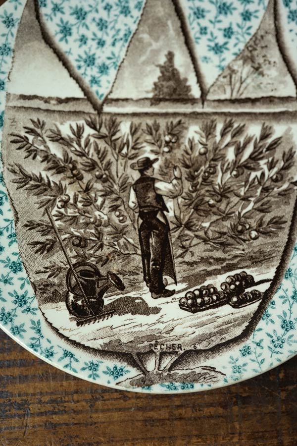 ���륰�ߥ�� Sarreguemines���꡼�֤μ��ϤΥץ졼��19C���20cm gc-1701