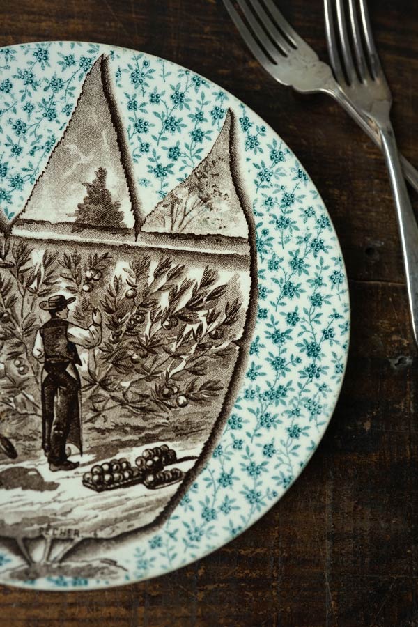 ���륰�ߥ�� Sarreguemines���꡼�֤μ��ϤΥץ졼��19C���20cm gc-1701