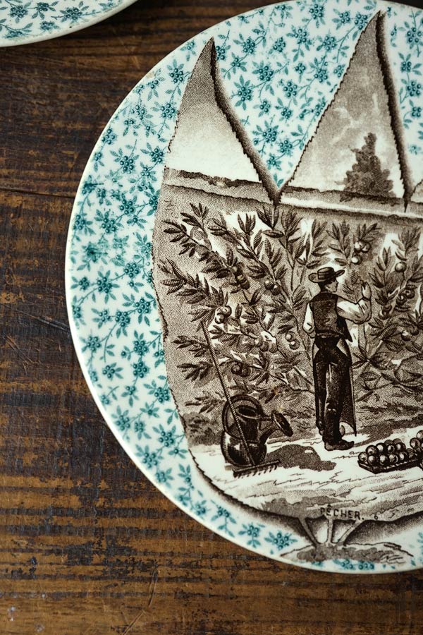 ���륰�ߥ�� Sarreguemines���꡼�֤μ��ϤΥץ졼��19C���20cm gc-1701