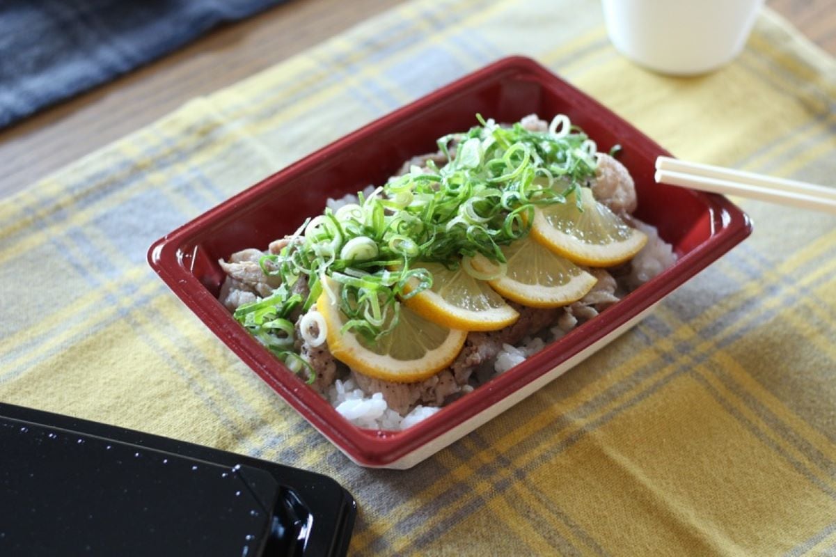 パルプモールド 　KMPランチ-10本体レッド