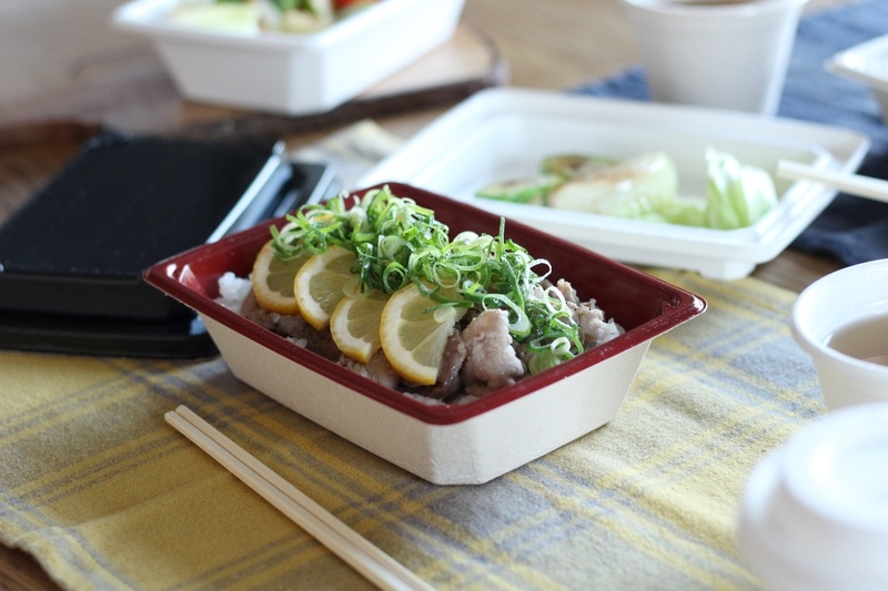 パルプモールド KMPランチ-10本体レッド