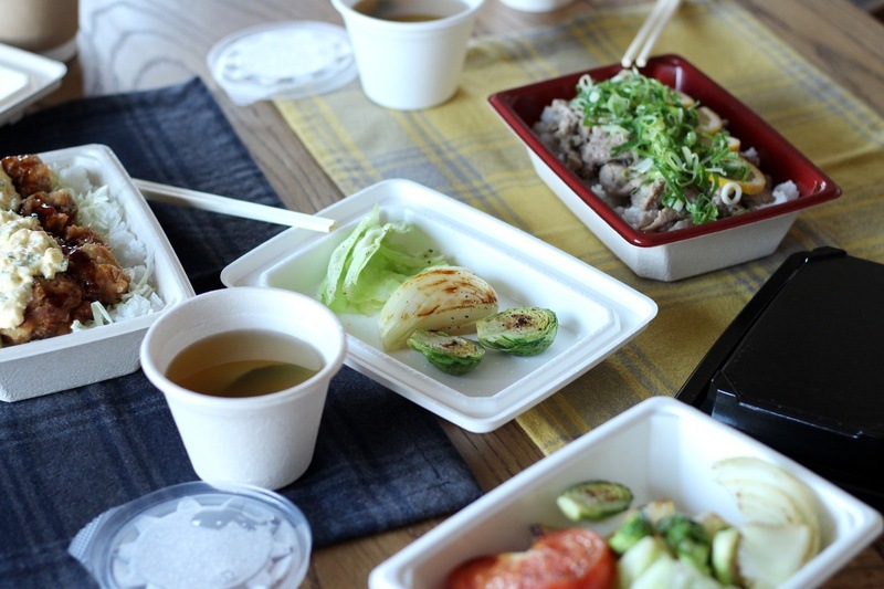 パルプモールド KMPランチ-10本体レッド