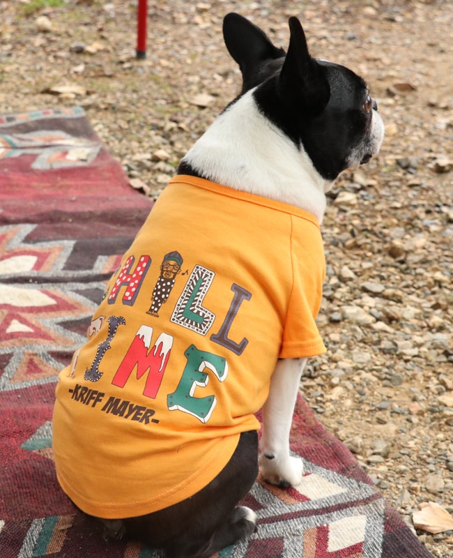 クリフメイヤー[公式] チルタイムT(絵文字) DOG D2517823