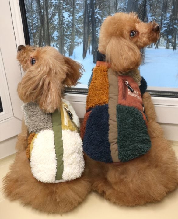 クリフメイヤー[公式] シャギーボアベスト DOG D2514405