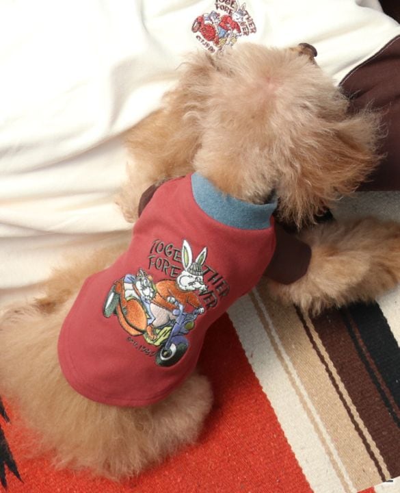 クリフメイヤー[公式] もちのびT(ラビット) DOG D2515605