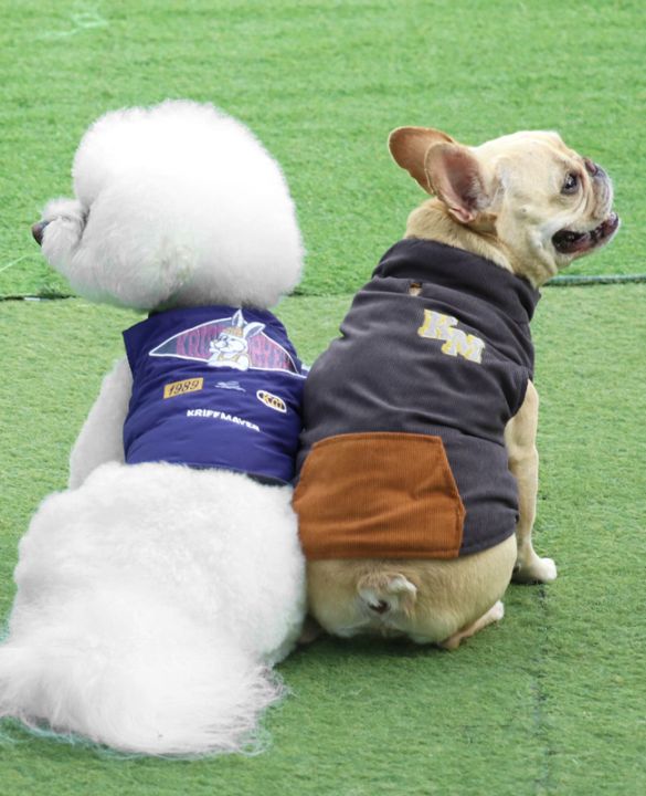 クリフメイヤー[公式] ひっくり中綿ベスト DOG D2517822