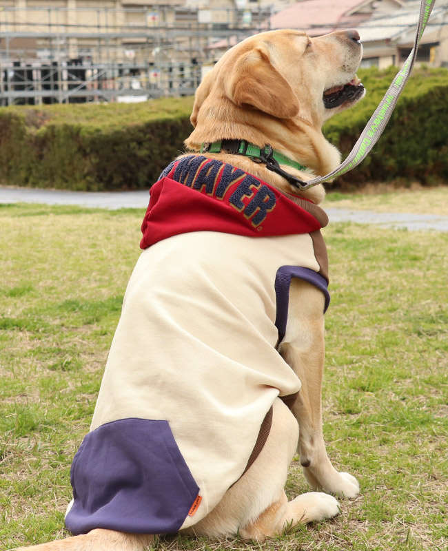 クリフメイヤー[公式] サガラ刺繍パーカー(フードロゴ) DOG D2527809B