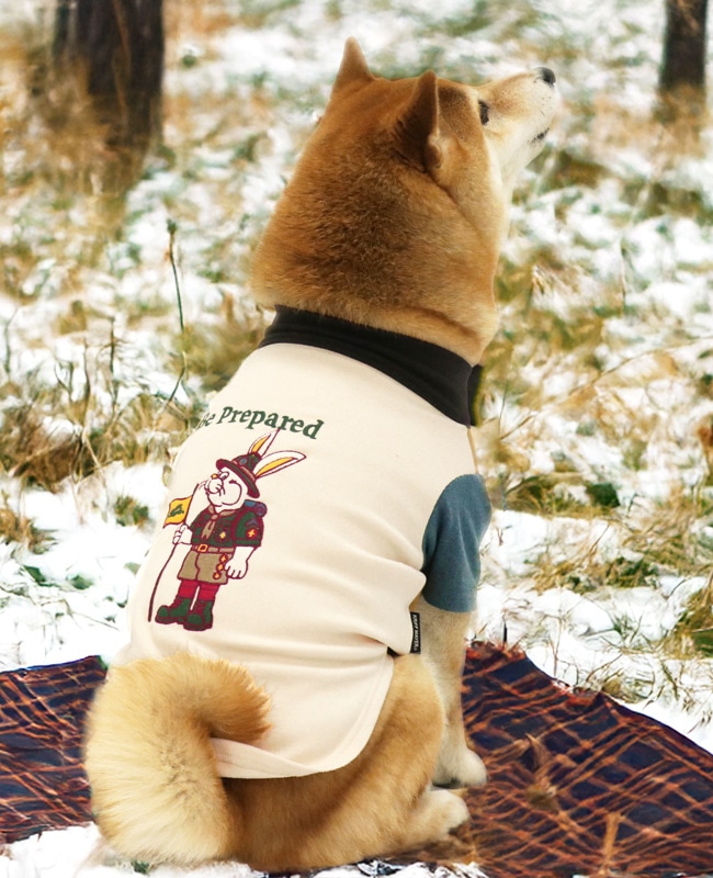 クリフメイヤー[公式] もちのび刺繍T(ラビット) DOG D2615605