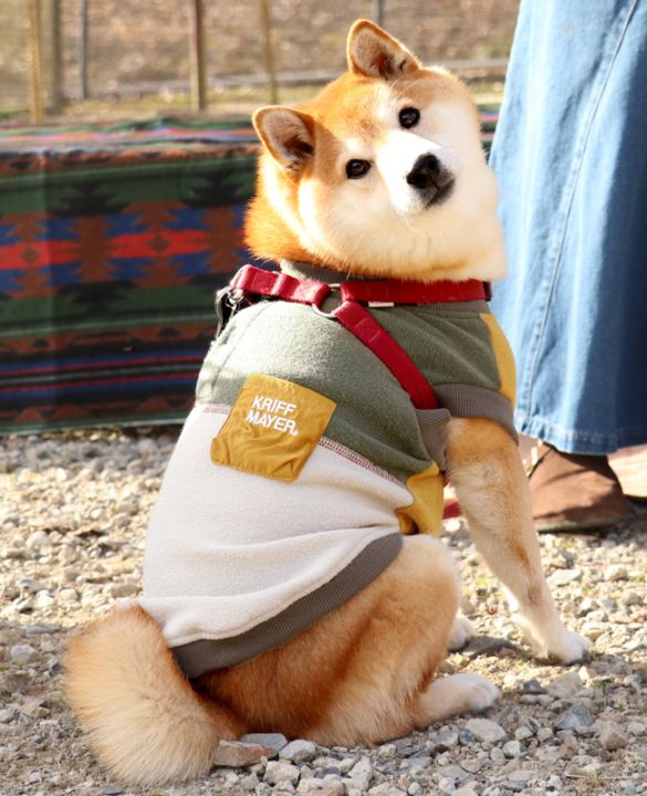 クリフメイヤー[公式] ブークレクルー DOG D2617808