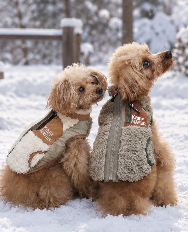 DOG ドッグ | KRIFF MAYER DOG ドッグ | KRIFF MAYER