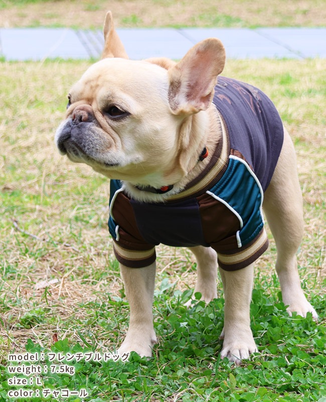 クリフメイヤー[公式] スーベニア刺繍スカT DOG D2447842