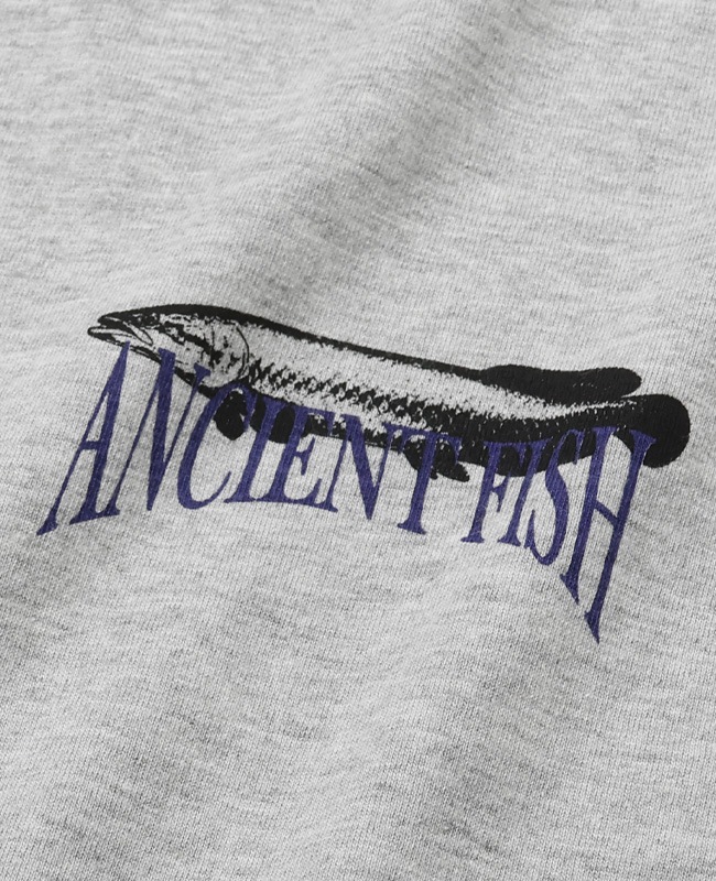 クリフメイヤー[公式] 外遊びプリントロンT(古代魚) MENS 2616305