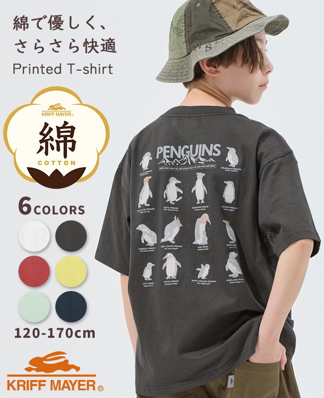 クリフメイヤー[公式] 楽LUCK-Tシャツ(ペンギン) KIDS J2546316 | KIDS