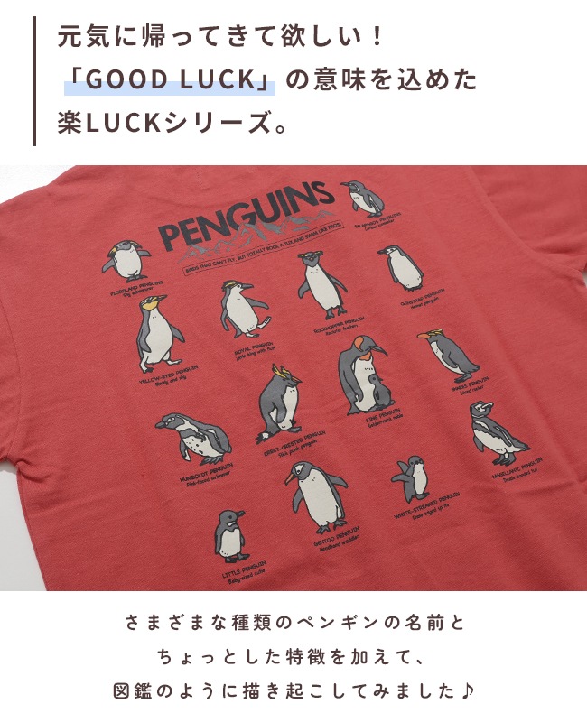 クリフメイヤー[公式] 楽LUCK-Tシャツ(ペンギン) KIDS J2546316 | KIDS