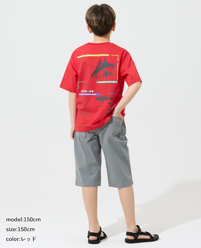 クリフメイヤー[公式] 遮熱プリントTEE(ホホジロザメ) KIDS J2555604