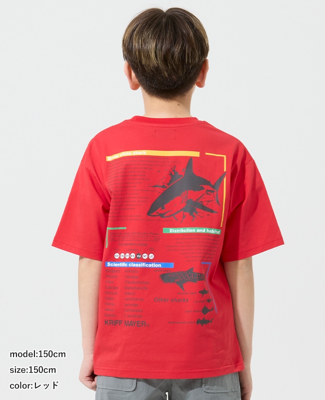 クリフメイヤー[公式] 遮熱プリントTEE(ホホジロザメ) KIDS J2555604