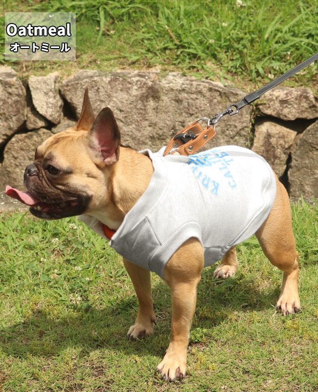 クリフメイヤー[公式] ロゴスウェットクルー DOG 2415117D