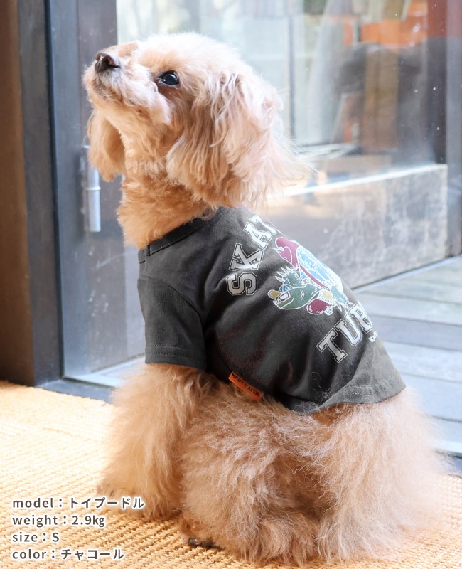 クリフメイヤー[公式] ウェットプロテクトT(タートル) DOG D2447844