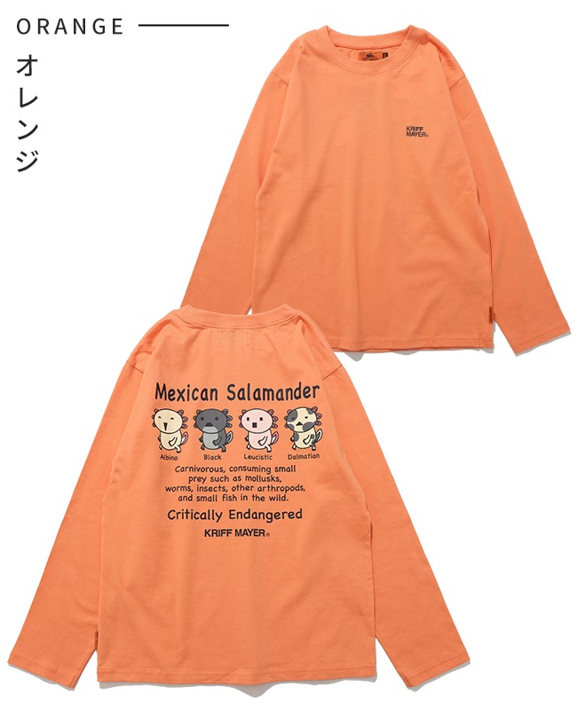 クリフメイヤー[公式] 楽LUCKロンT(ウーパールーパー) KIDS J2536314