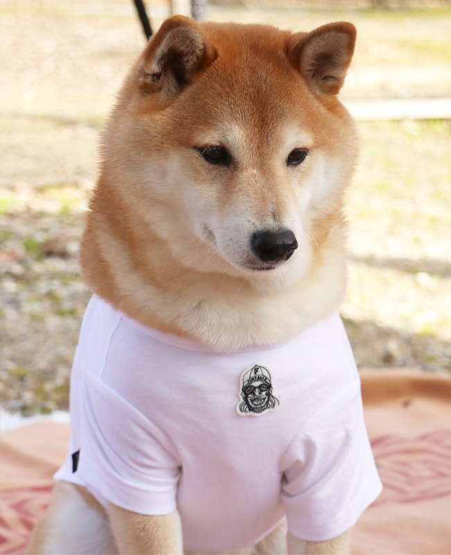 クリフメイヤー[公式] DOGチルタイムロンT(釣り) DOG D2616309