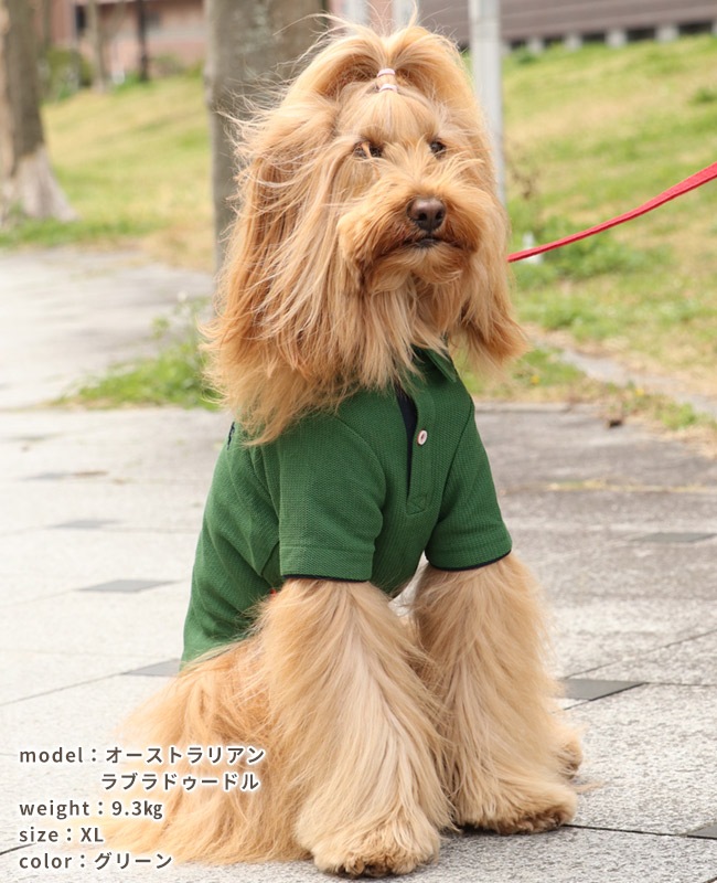 クリフメイヤー[公式] 冷感リンクスカノコポロ DOG D2445127