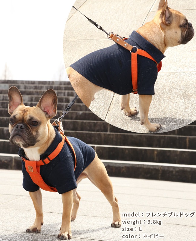 クリフメイヤー[公式] 冷感リンクスカノコポロ DOG D2445127