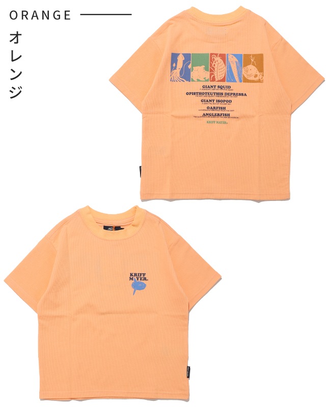 クリフメイヤー[公式] 涼タッチシャリT(深海生物) KIDS J2547833