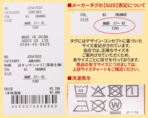 クリフメイヤー[公式] 涼タッチシャリT(深海生物) KIDS J2547833