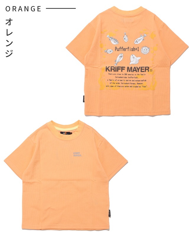 クリフメイヤー[公式] 涼タッチシャリT(ほぼフグ) KIDS J2547834