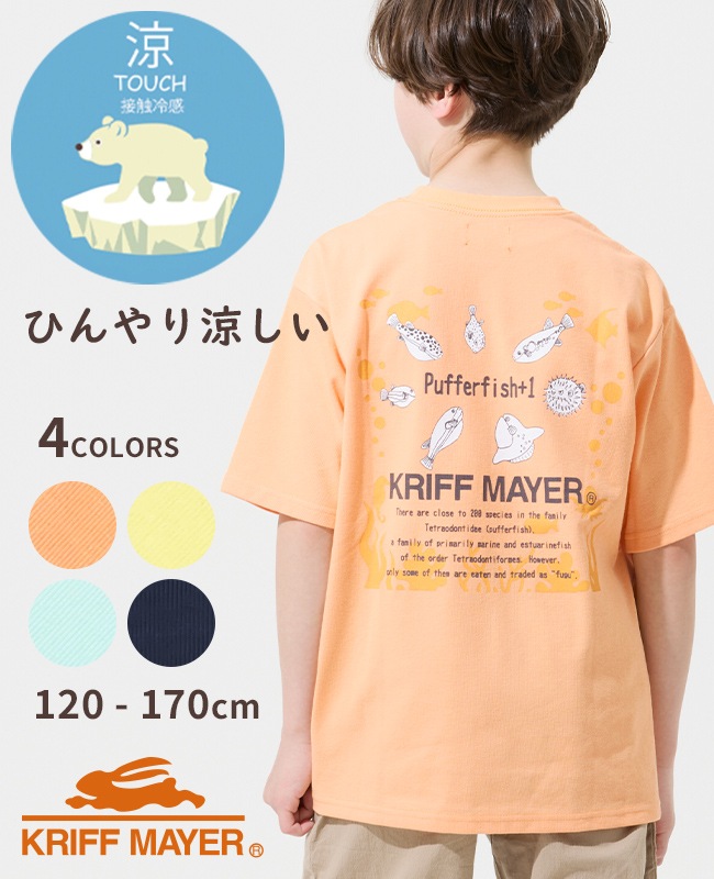 クリフメイヤー[公式] 涼タッチシャリT(ほぼフグ) KIDS J2547834