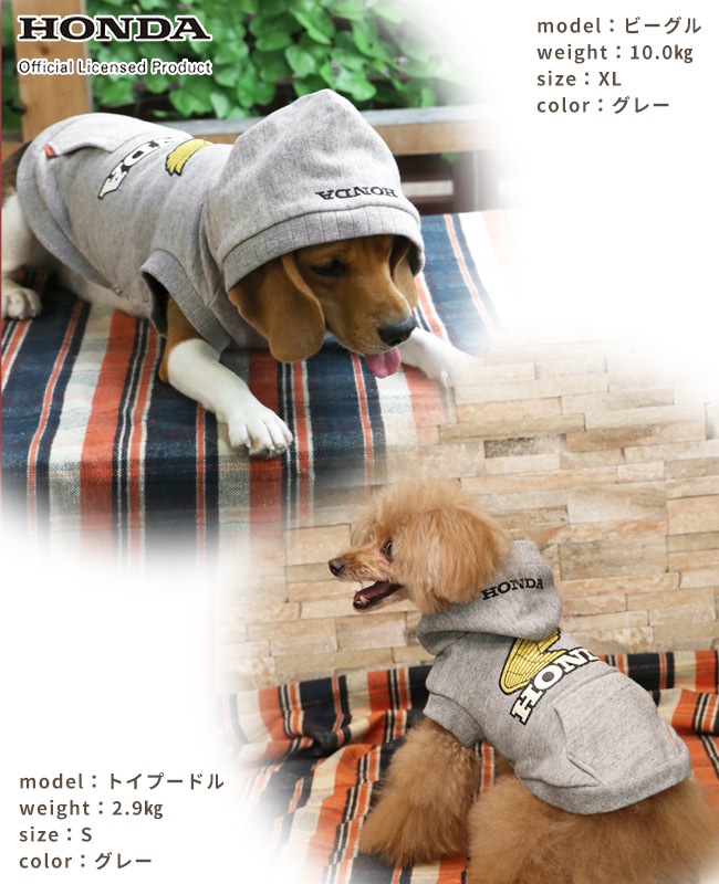 WOLFDOGS名古屋　パーカー ウルフドッグス名古屋 オフィシャルサイト | 選手紹介一覧