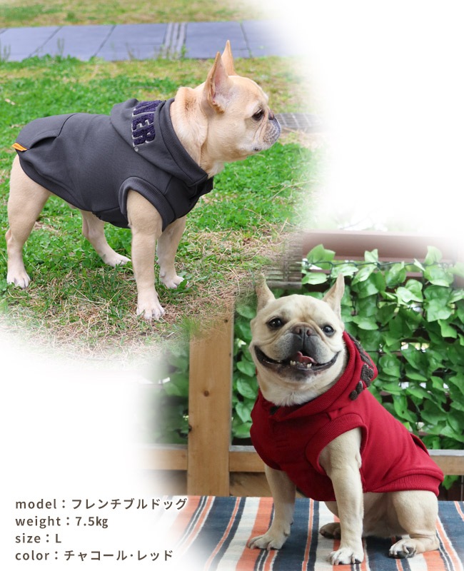 クリフメイヤー[公式] サガラ刺繍パーカー(フードロゴ) DOG D2527809