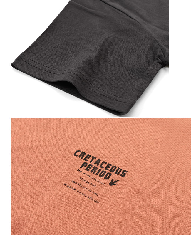 クリフメイヤー[公式] カラフルバックプリントT(恐竜) KIDS J2447852