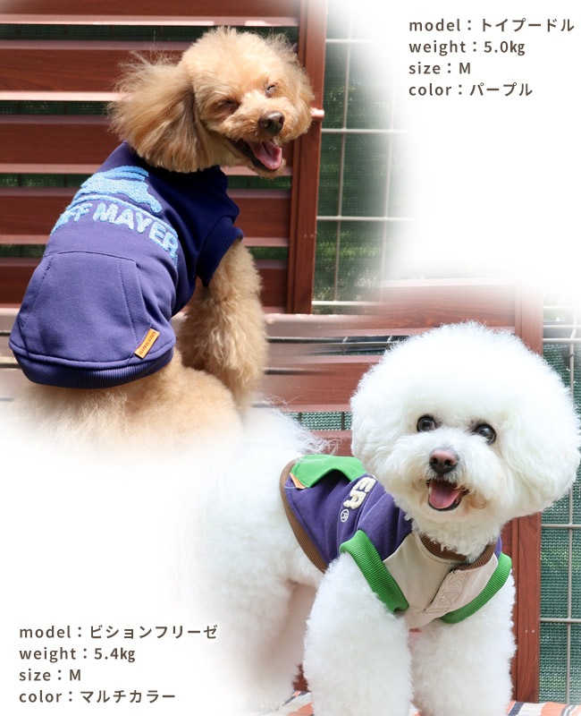 クリフメイヤー[公式] 裏起毛クルー(サガラロゴ) DOG D2527810