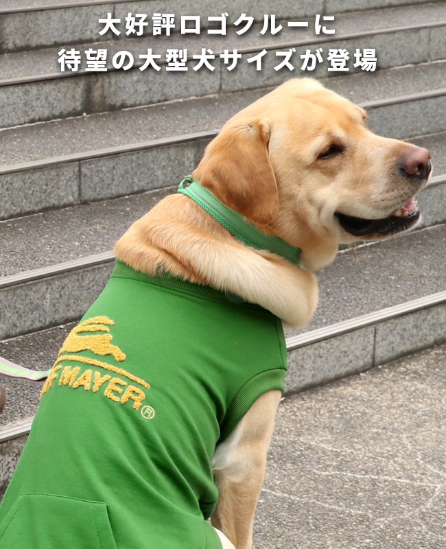 クリフメイヤー[公式] 裏起毛クルー(サガラロゴ) DOG D2527810B | 親子