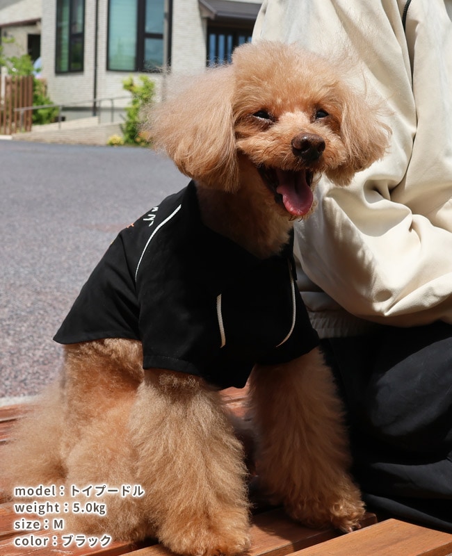 犬雑貨・オーナーズグッズ yama ジェラートピケ gelato pique 【Steiff】【CAT&DOG】Jamesケープ