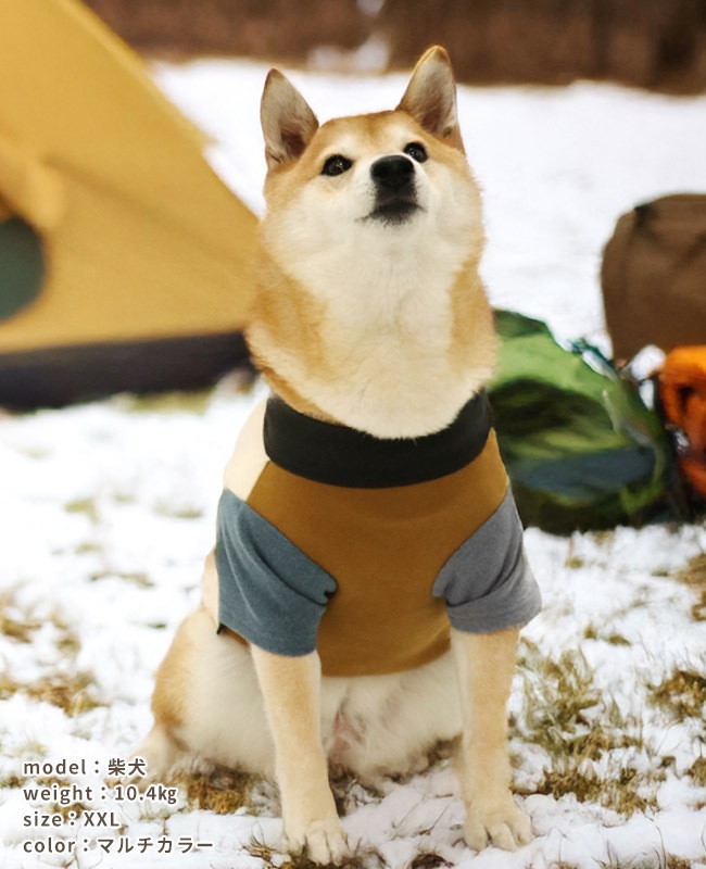 クリフメイヤー[公式] もちのび刺繍T(ラビット) DOG D2615605