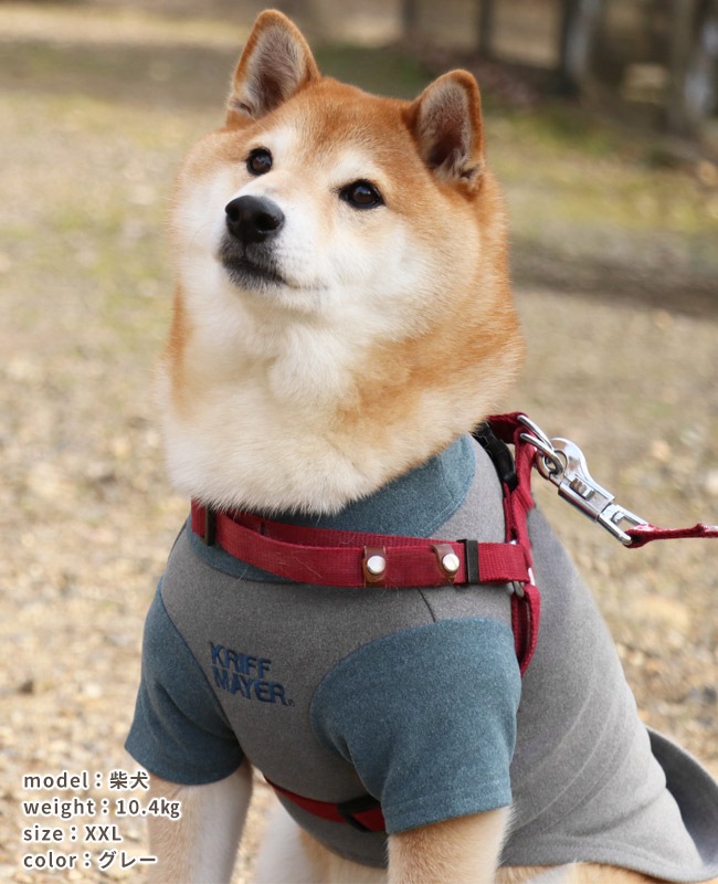 クリフメイヤー[公式] もちのび刺繍T(足跡) DOG D2615606