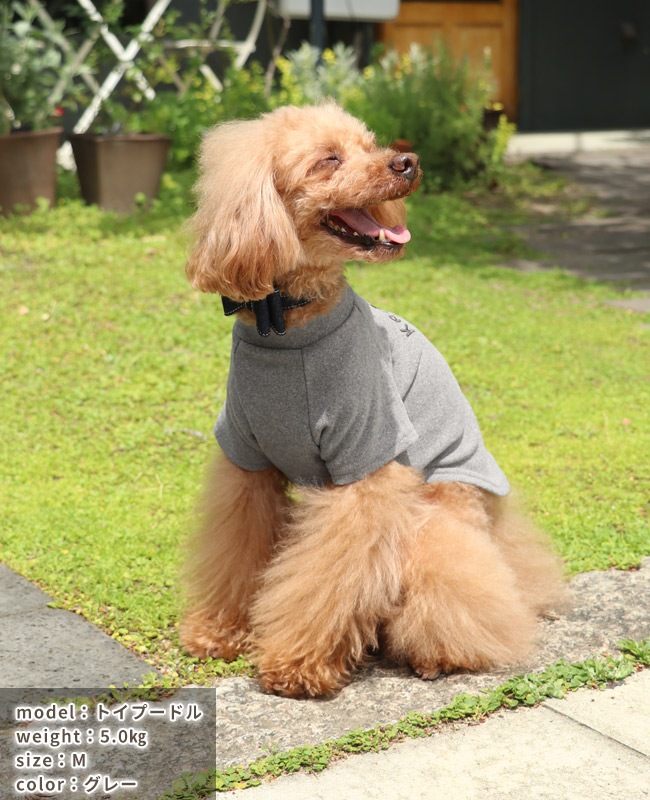 クリフメイヤー[公式] もちのびT(ラビット) DOG 2417820D