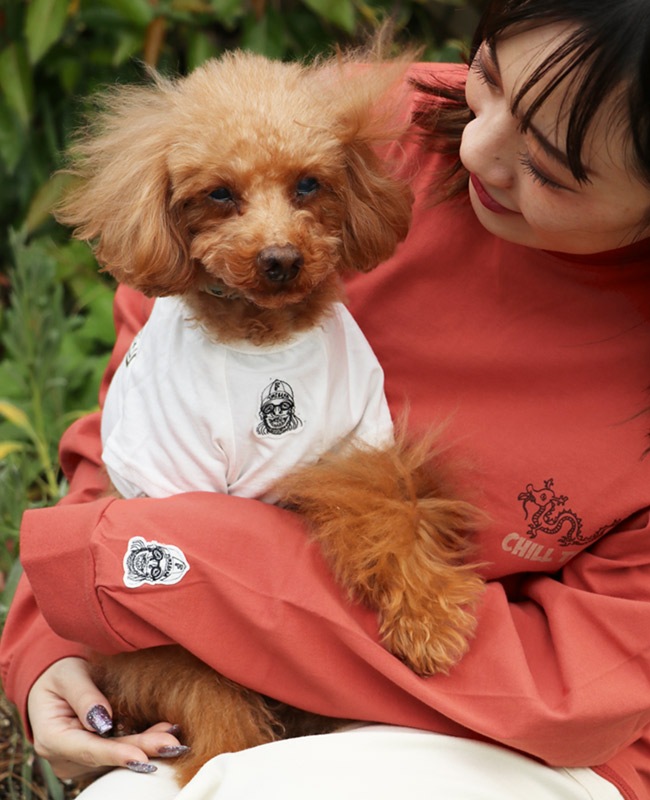 クリフメイヤー[公式] チルタイムT(バンダナ) DOG D2437852