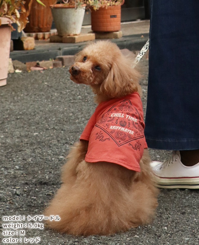 クリフメイヤー[公式] チルタイムT(バンダナ) DOG D2437852