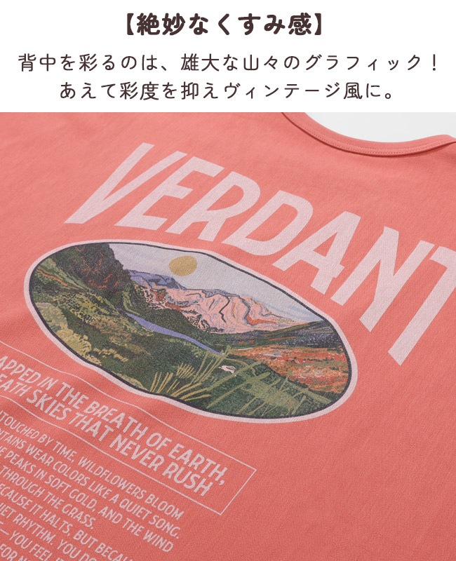 クリフメイヤー[公式] 夏季GO!T(山) LADYS W2555114