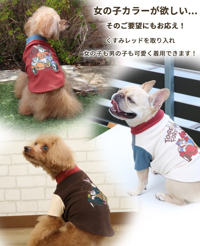 クリフメイヤー[公式] もちのびT(ラビット) DOG D2515605 | DOG ドッグ