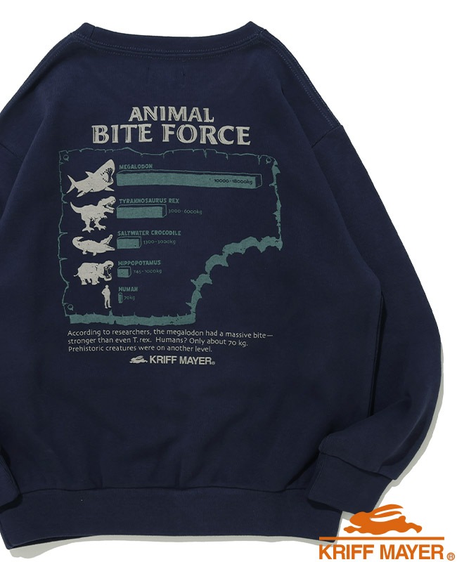 PATHFINDER/KEITH /Wolf&Grizzly 未使用品 クリフメイヤー[公式] ソフト裏起毛クルー(噛む力) KIDS J2627833