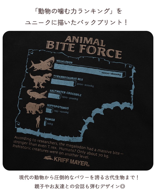 クリフメイヤー[公式] ソフト裏起毛クルー(噛む力) KIDS J2627833