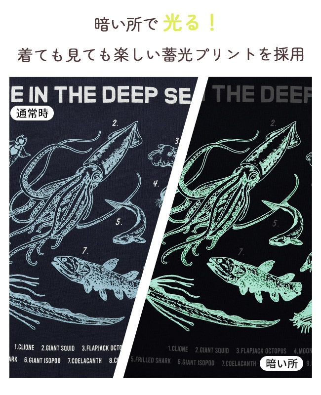 クリフメイヤー[公式] ソフト裏起毛蓄光プリントクルー(深海生物) KIDS J2627834