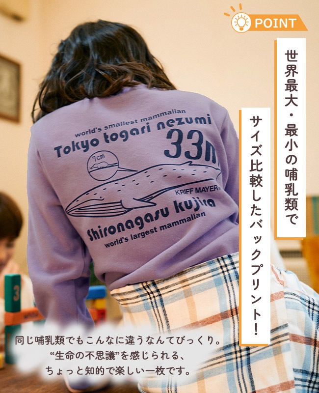 クリフメイヤー[公式] シフォンタッチクルー(世界最小最大) KIDS J2527842