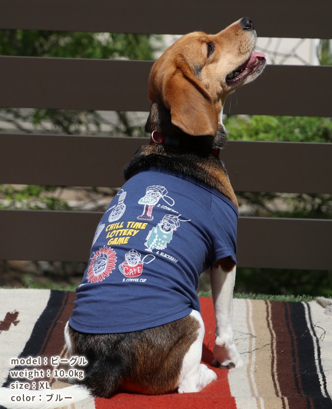 クリフメイヤー[公式] チルタイムT(キーホルダー) DOG D2517820