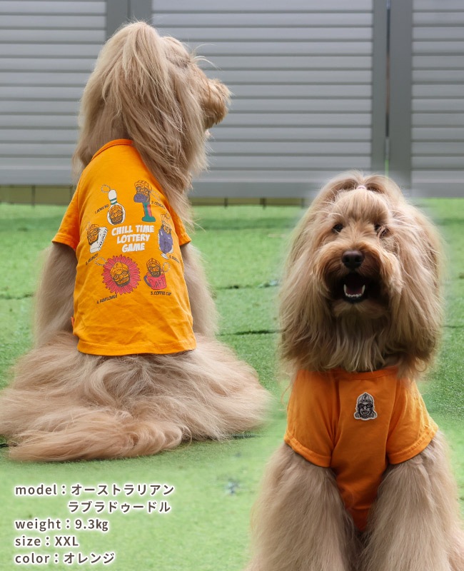 クリフメイヤー[公式] チルタイムT(キーホルダー) DOG D2517820