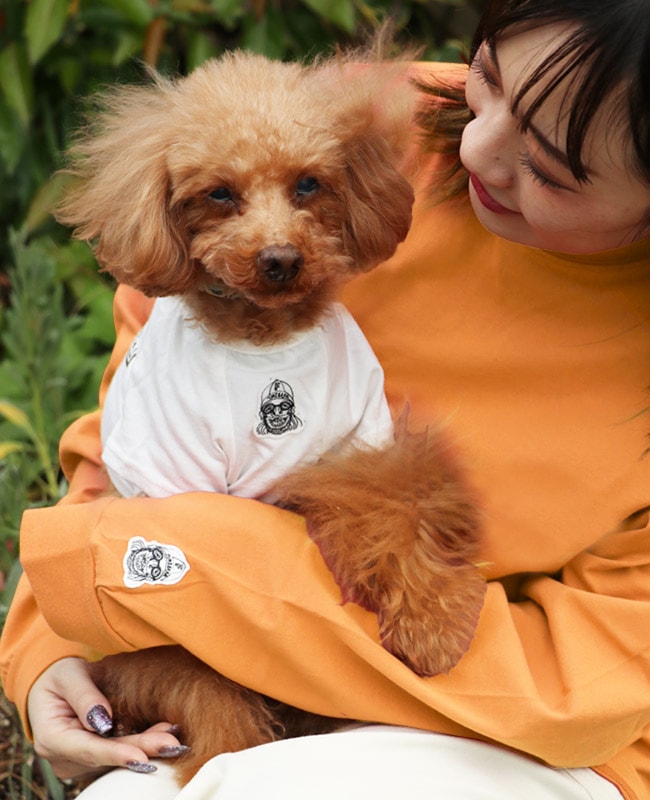 クリフメイヤー[公式] チルタイムT(キーホルダー) DOG D2517820